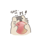 マーモット。（個別スタンプ：11）