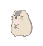 マーモット。（個別スタンプ：22）