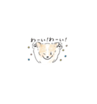雑種犬のイラストスタンプ（個別スタンプ：1）