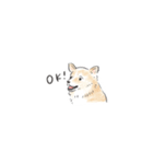 雑種犬のイラストスタンプ（個別スタンプ：2）