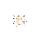 雑種犬のイラストスタンプ（個別スタンプ：3）
