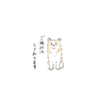 雑種犬のイラストスタンプ（個別スタンプ：5）