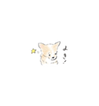 雑種犬のイラストスタンプ（個別スタンプ：7）