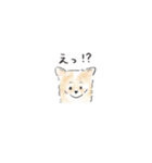 雑種犬のイラストスタンプ（個別スタンプ：10）