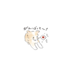 雑種犬のイラストスタンプ（個別スタンプ：13）