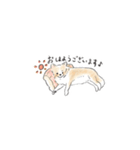 雑種犬のイラストスタンプ（個別スタンプ：14）