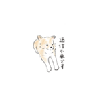 雑種犬のイラストスタンプ（個別スタンプ：15）
