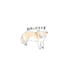 雑種犬のイラストスタンプ（個別スタンプ：16）