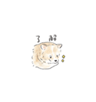 雑種犬のイラストスタンプ（個別スタンプ：17）