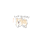 雑種犬のイラストスタンプ（個別スタンプ：18）