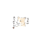 雑種犬のイラストスタンプ（個別スタンプ：19）