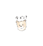雑種犬のイラストスタンプ（個別スタンプ：27）