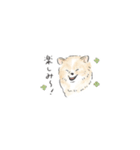 雑種犬のイラストスタンプ（個別スタンプ：28）