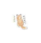 雑種犬のイラストスタンプ（個別スタンプ：30）