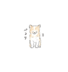 雑種犬のイラストスタンプ（個別スタンプ：31）