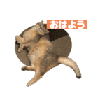 おもちスタンプVol1（個別スタンプ：4）