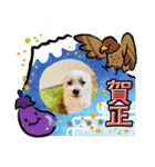 犬のキーボード（個別スタンプ：28）