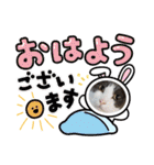 ねこでダラダラ言わせて（個別スタンプ：1）