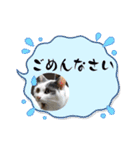 ねこでダラダラ言わせて（個別スタンプ：6）