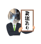 ねこでダラダラ言わせて（個別スタンプ：8）