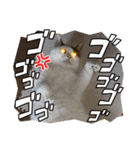 ねこでダラダラ言わせて（個別スタンプ：14）