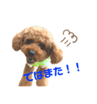 ハッピーの日常使い出来るスタンプ（個別スタンプ：6）