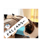 武居family47（個別スタンプ：1）