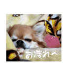 武居family47（個別スタンプ：2）