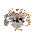 武居family47（個別スタンプ：3）