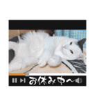 武居family47（個別スタンプ：5）