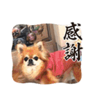 武居family47（個別スタンプ：8）