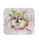 武居family47（個別スタンプ：9）