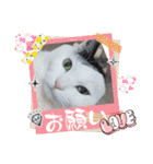武居family47（個別スタンプ：10）