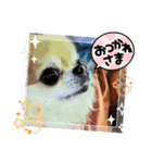 武居family47（個別スタンプ：11）