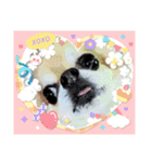 武居family47（個別スタンプ：12）