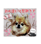 武居family47（個別スタンプ：14）