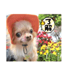 武居family47（個別スタンプ：18）