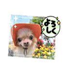 武居family47（個別スタンプ：19）