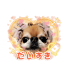 武居family47（個別スタンプ：23）