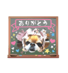 武居family47（個別スタンプ：24）