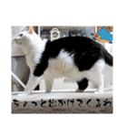 武居family47（個別スタンプ：27）