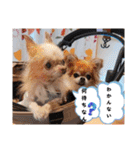 武居family47（個別スタンプ：32）
