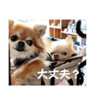 武居family47（個別スタンプ：40）