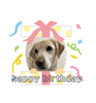 happy birthday！ by Cyndy＆Lewis（個別スタンプ：2）