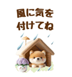 雨の日のしばいぬに癒されるスタンプ[BIG]（個別スタンプ：12）