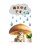 雨の日のコーギーに癒されるスタンプ[BIG]（個別スタンプ：38）