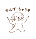 ゆるい子犬のスタンプ（個別スタンプ：13）