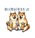 友達と飲みたい柴犬【酒クズ・おもしろい】（個別スタンプ：2）