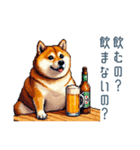 友達と飲みたい柴犬【酒クズ・おもしろい】（個別スタンプ：6）