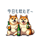 友達と飲みたい柴犬【酒クズ・おもしろい】（個別スタンプ：11）